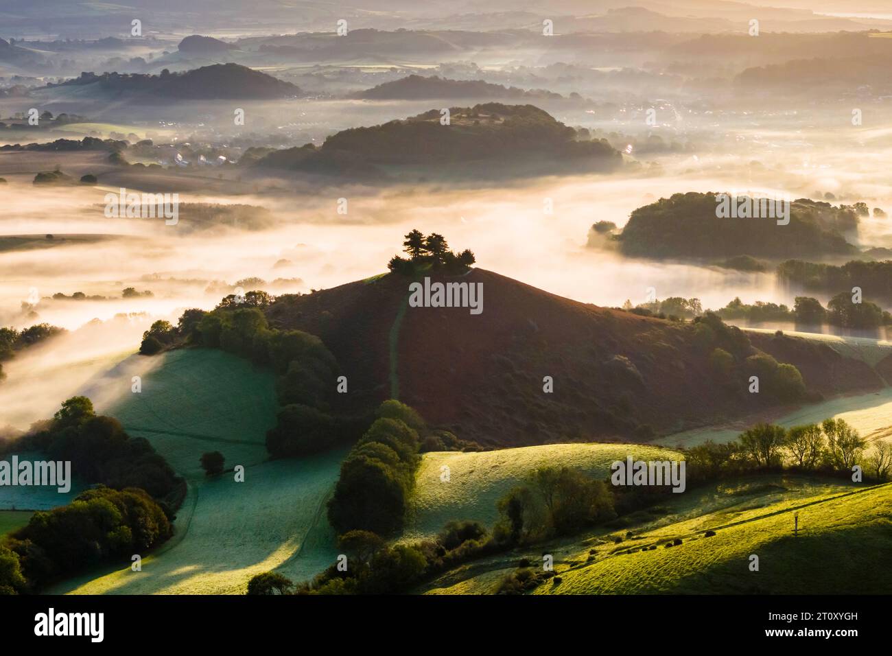 Vue aérienne d'un lever de soleil d'automne brumeux à Colmers Hill à Symondsbury près de Bridport dans le Dorset, Royaume-Uni. Banque D'Images