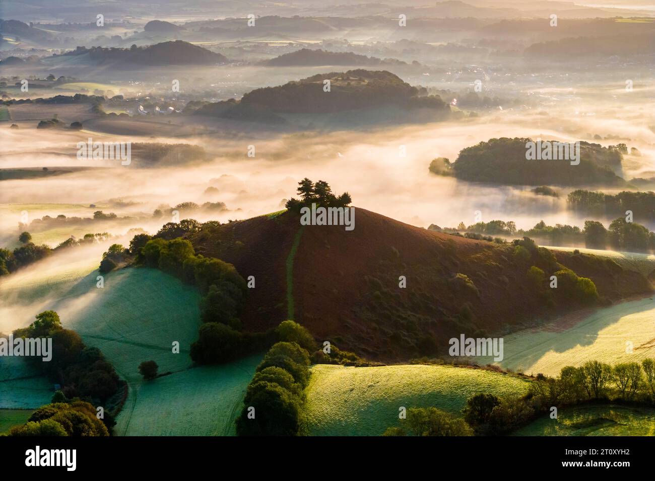 Vue aérienne d'un lever de soleil d'automne brumeux à Colmers Hill à Symondsbury près de Bridport dans le Dorset, Royaume-Uni. Banque D'Images