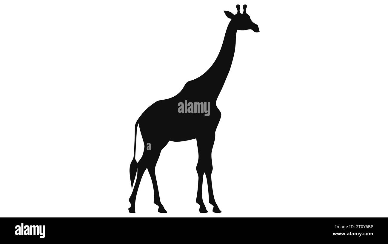 Silhouette d'une girafe isolée sur fond blanc. Illustration de Vecteur