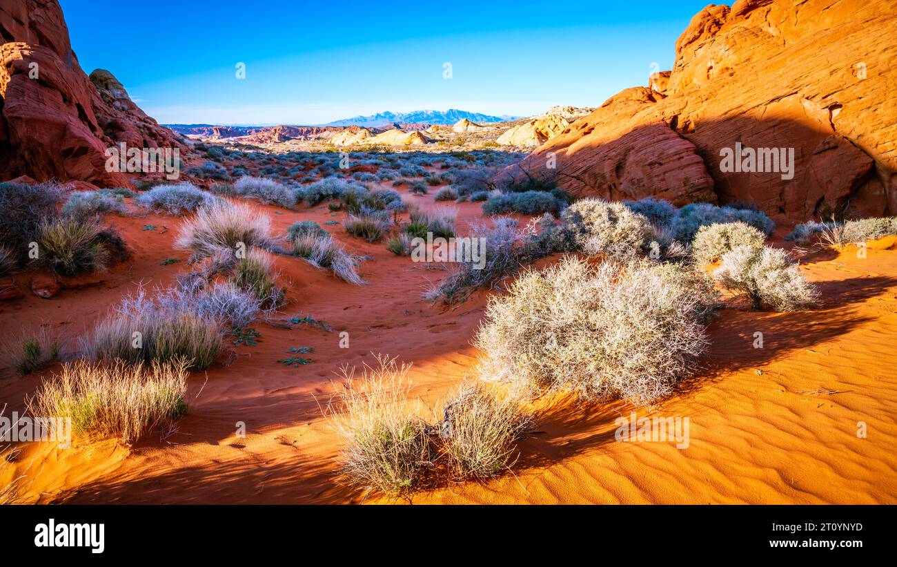 Paysage désertique dans le parc national de la Vallée de feu dans le Nevada Banque D'Images