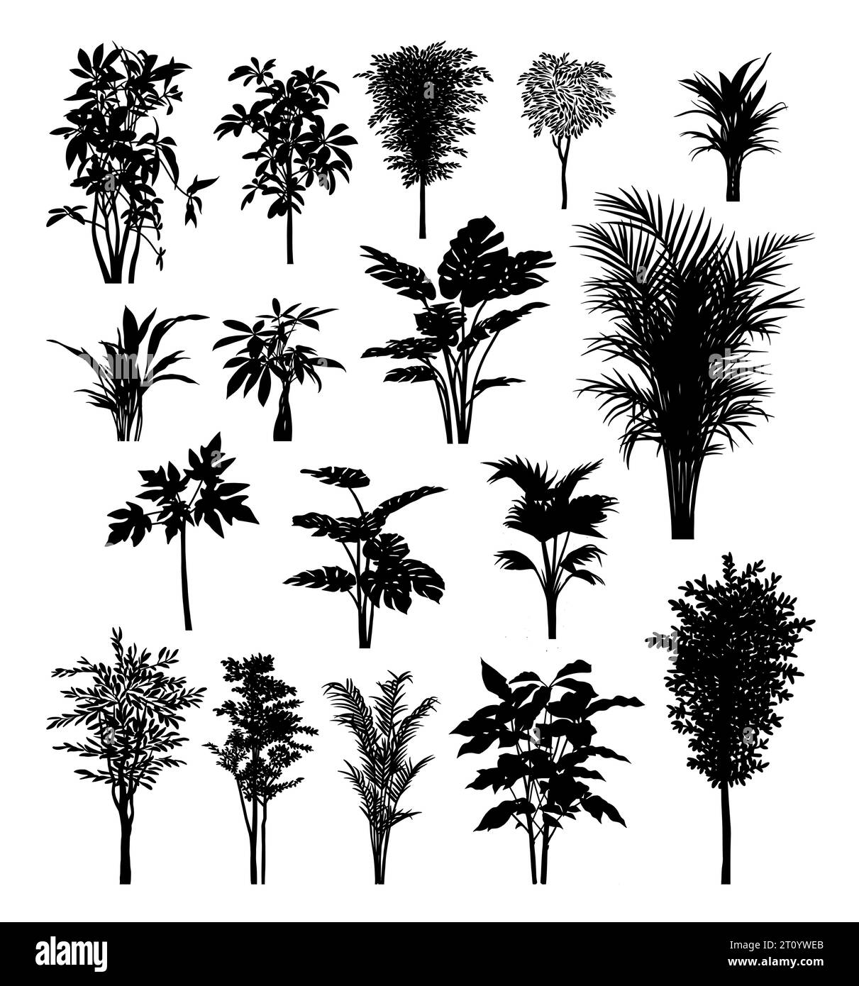 silhouettes d'éléments de palmier et de plantes Illustration de Vecteur silhouettes d'éléments de palmier et de plantes Illustration de Vecteur