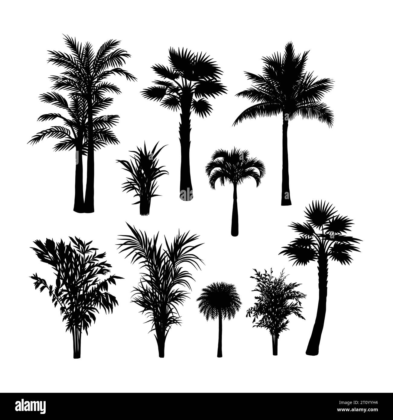 silhouettes d'éléments de palmier et de plantes Illustration de Vecteur silhouettes d'éléments de palmier et de plantes Illustration de Vecteur