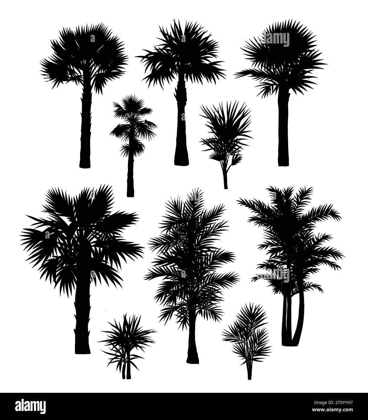 silhouettes d'éléments de palmier et de plantes Illustration de Vecteur silhouettes d'éléments de palmier et de plantes Illustration de Vecteur