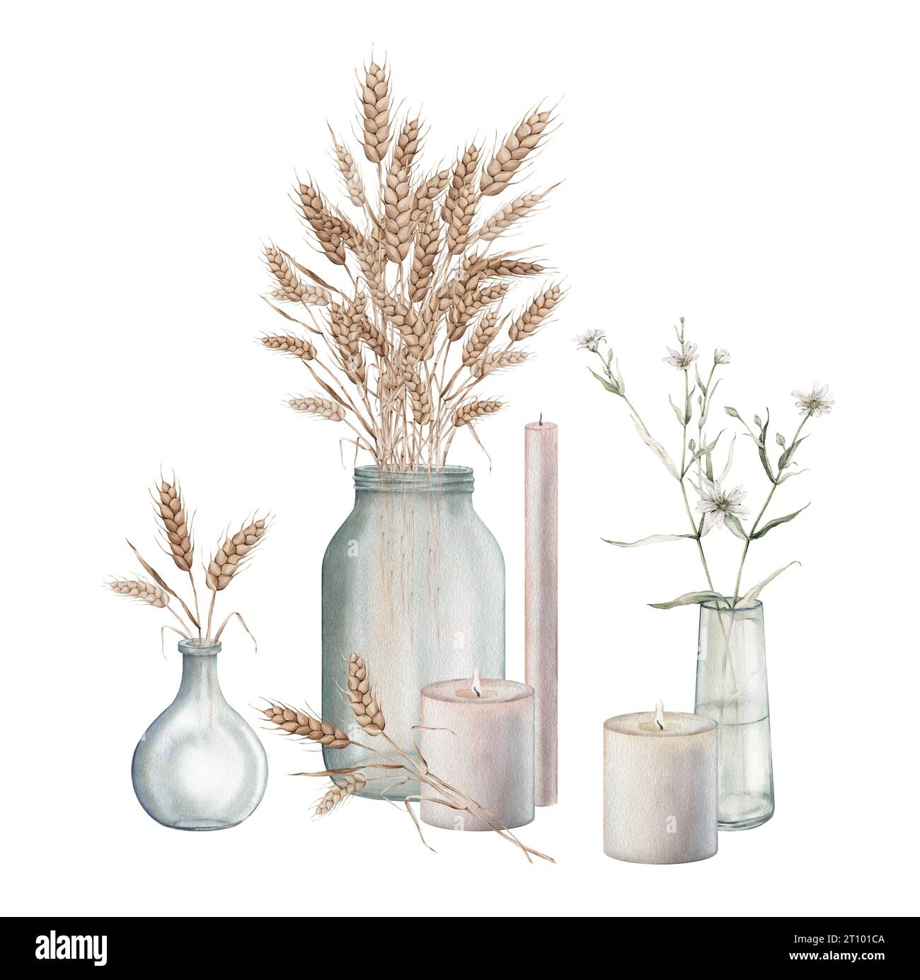 Épis de blé dans un vase en verre pot, bougie, fleurs blanches de forêt dans un vase en verre. Récolte d'automne. Clipart de prairie. Peinture à l'aquarelle à la main Banque D'Images