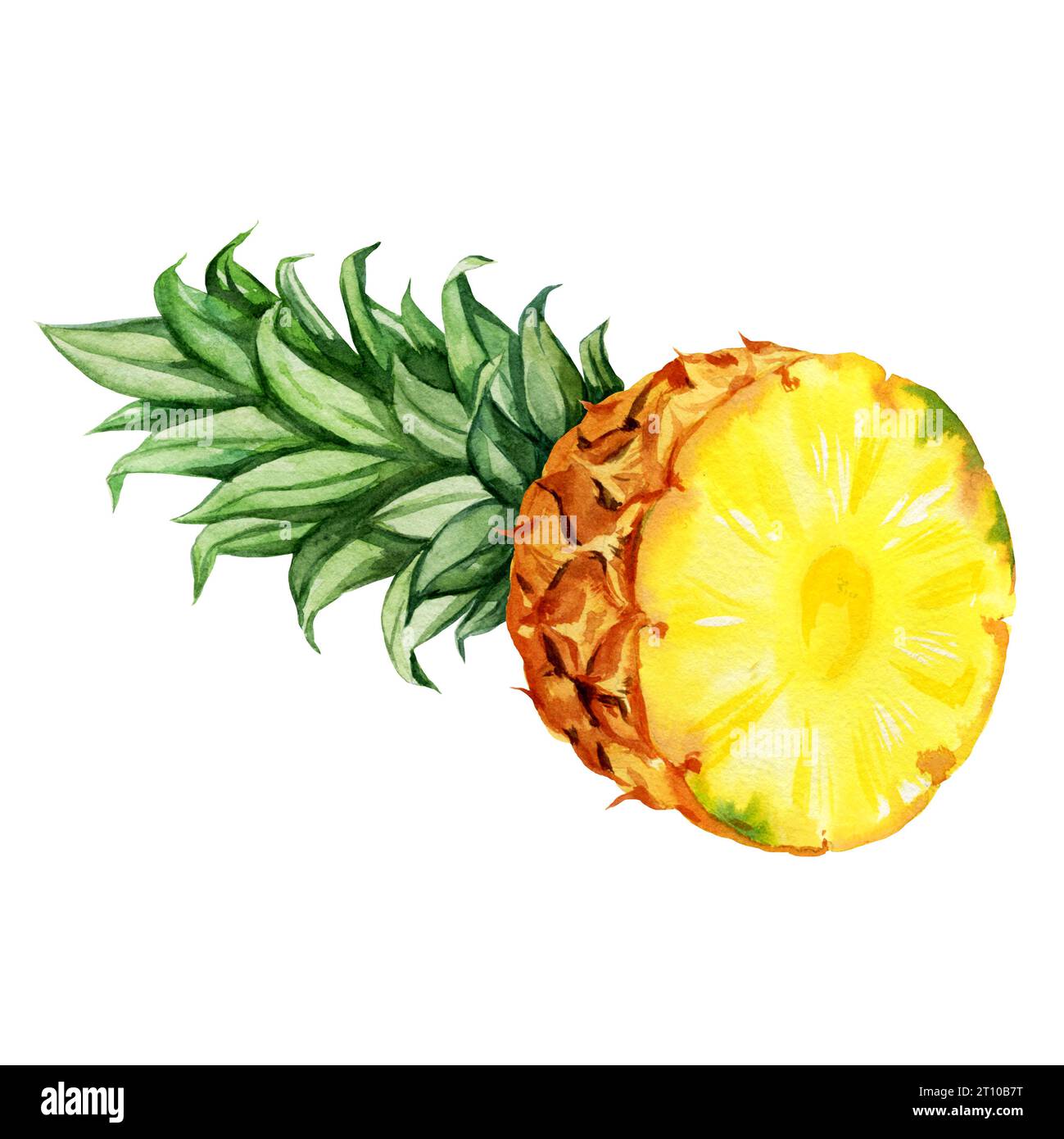 aquarelle illustration dessinée à la main d'une partie d'ananas avec des feuilles, croquis de fruits tropicaux jaunes, illustration de nourriture isolée sur backgro aquarelle Banque D'Images