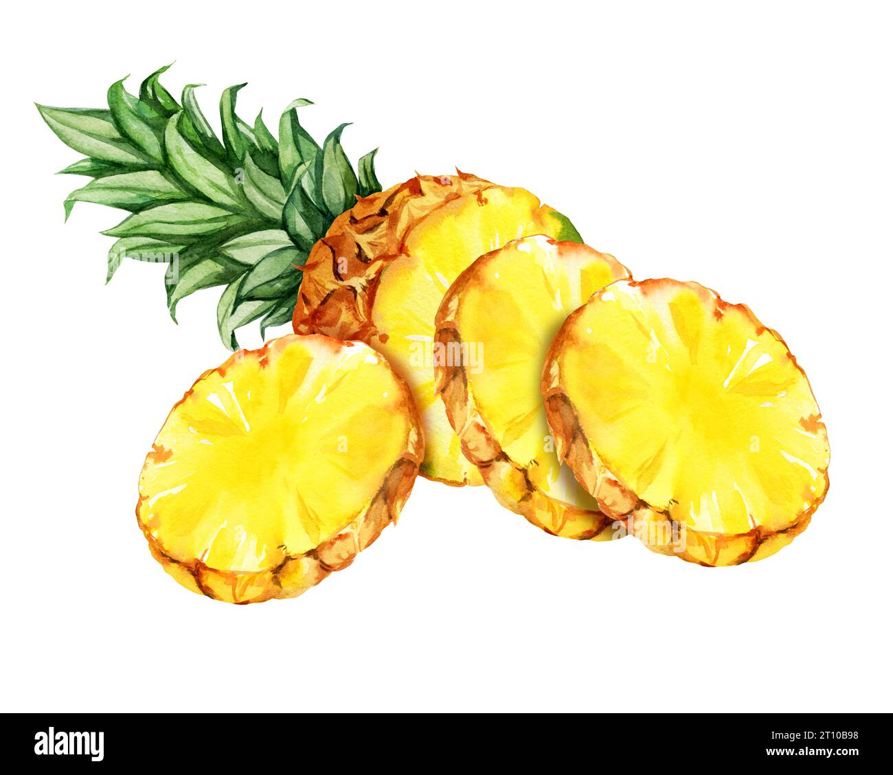 aquarelle illustration dessinée à la main d'une partie d'ananas avec des feuilles et des tranches, croquis de fruits tropicaux jaunes, illustration de nourriture isolée sur l'eau de co Banque D'Images