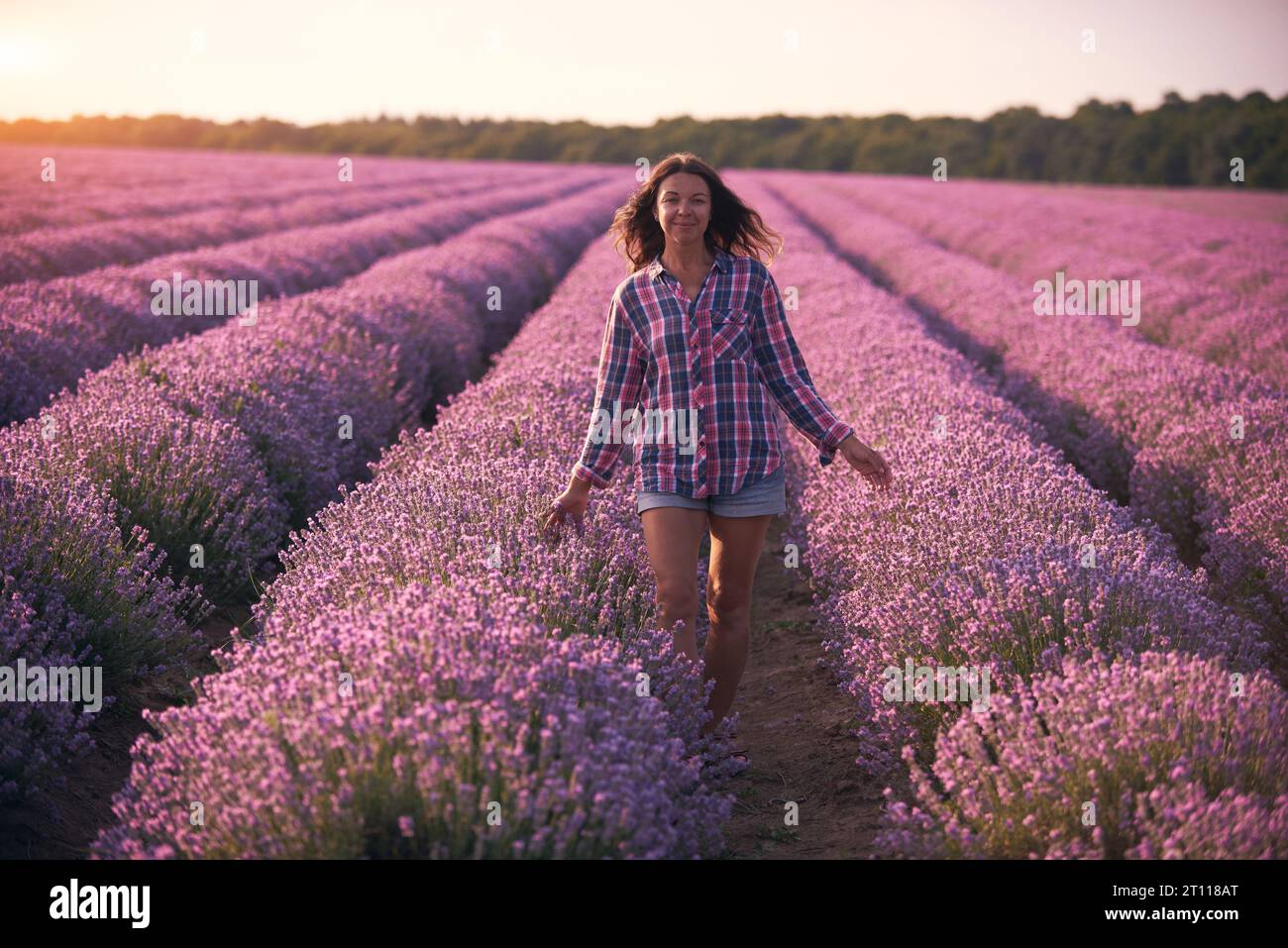 Jeune femme en chemise à carreaux multicolore dans le beau champ de lavande au coucher du soleil Banque D'Images