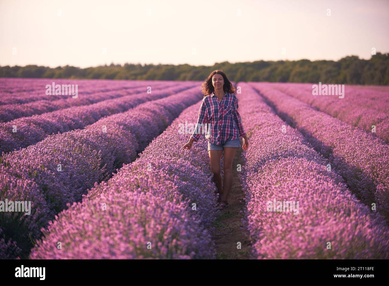 Jeune femme en chemise à carreaux multicolore dans le beau champ de lavande au coucher du soleil Banque D'Images