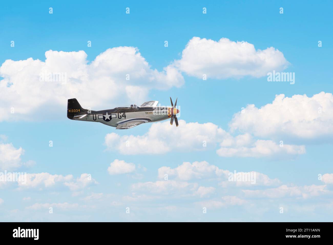 P51 Mustang Figher Banque D'Images