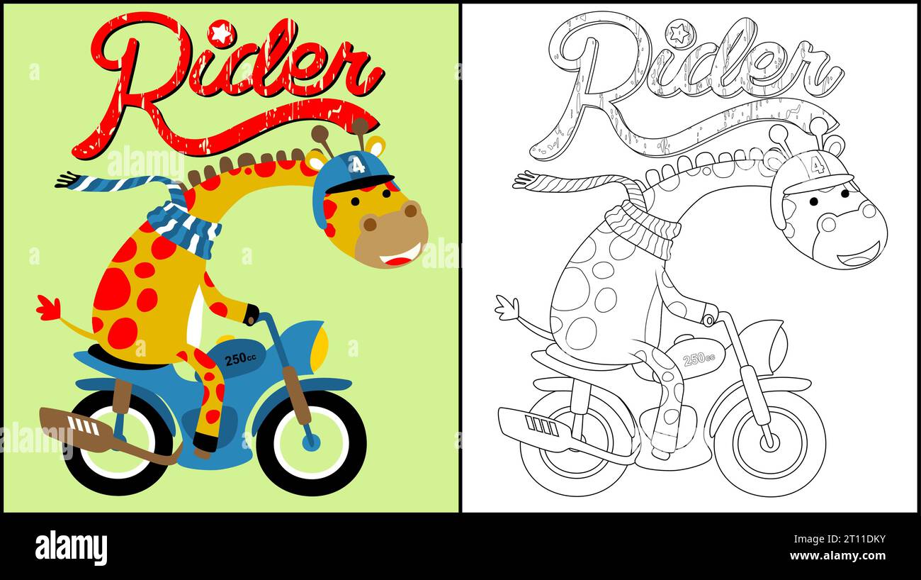 Livre de coloriage de girafe drôle portant casque et écharpe sur moto Illustration de Vecteur