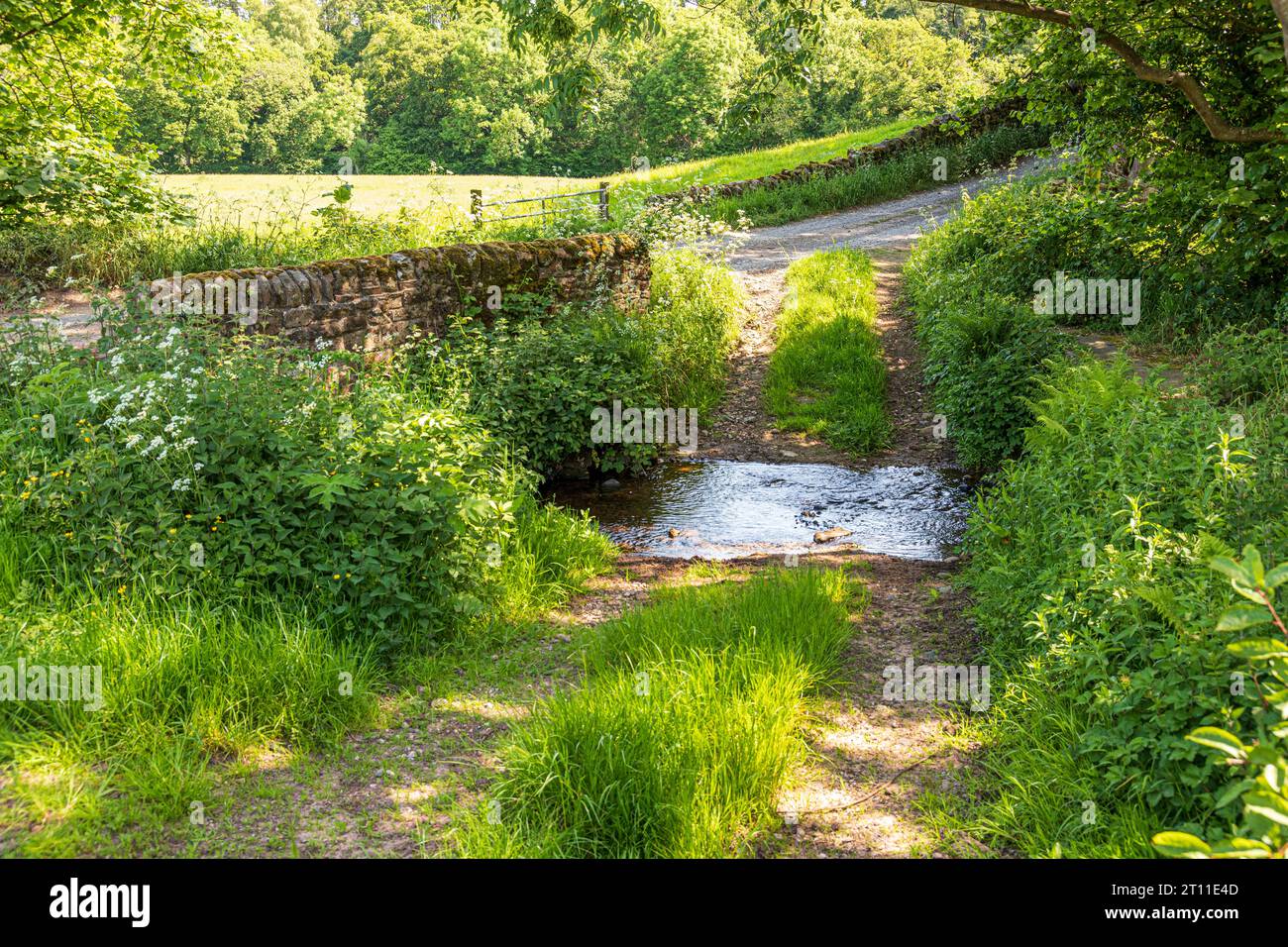 Le Château Carrock Beck passant sous un pont sur une voie au pied des Pennines près du village de Castle Carrock, Cumbria, Angleterre Royaume-Uni Banque D'Images