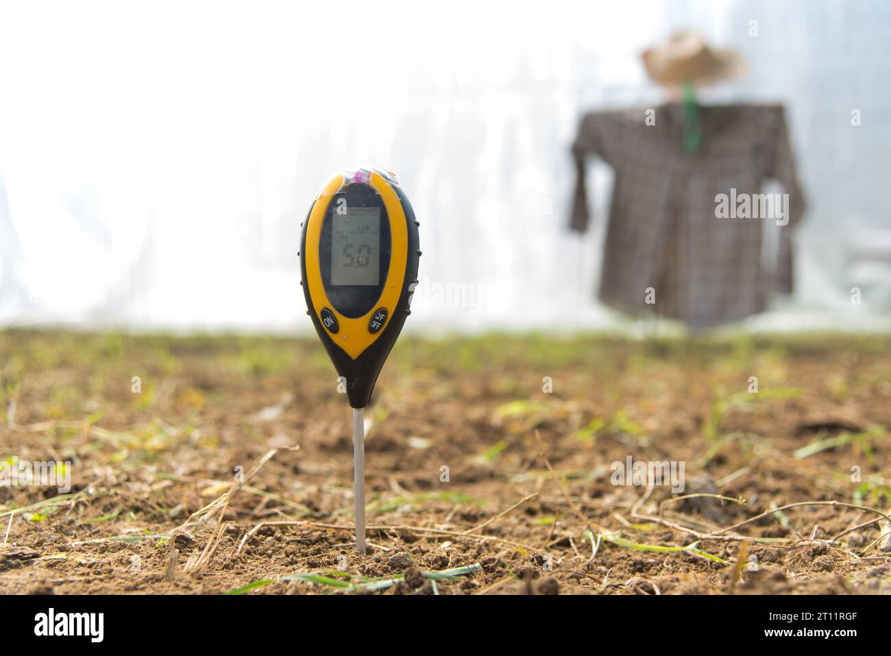 PH-mètre de sol Utilisation pour vérifier la valeur du PH Banque D'Images
