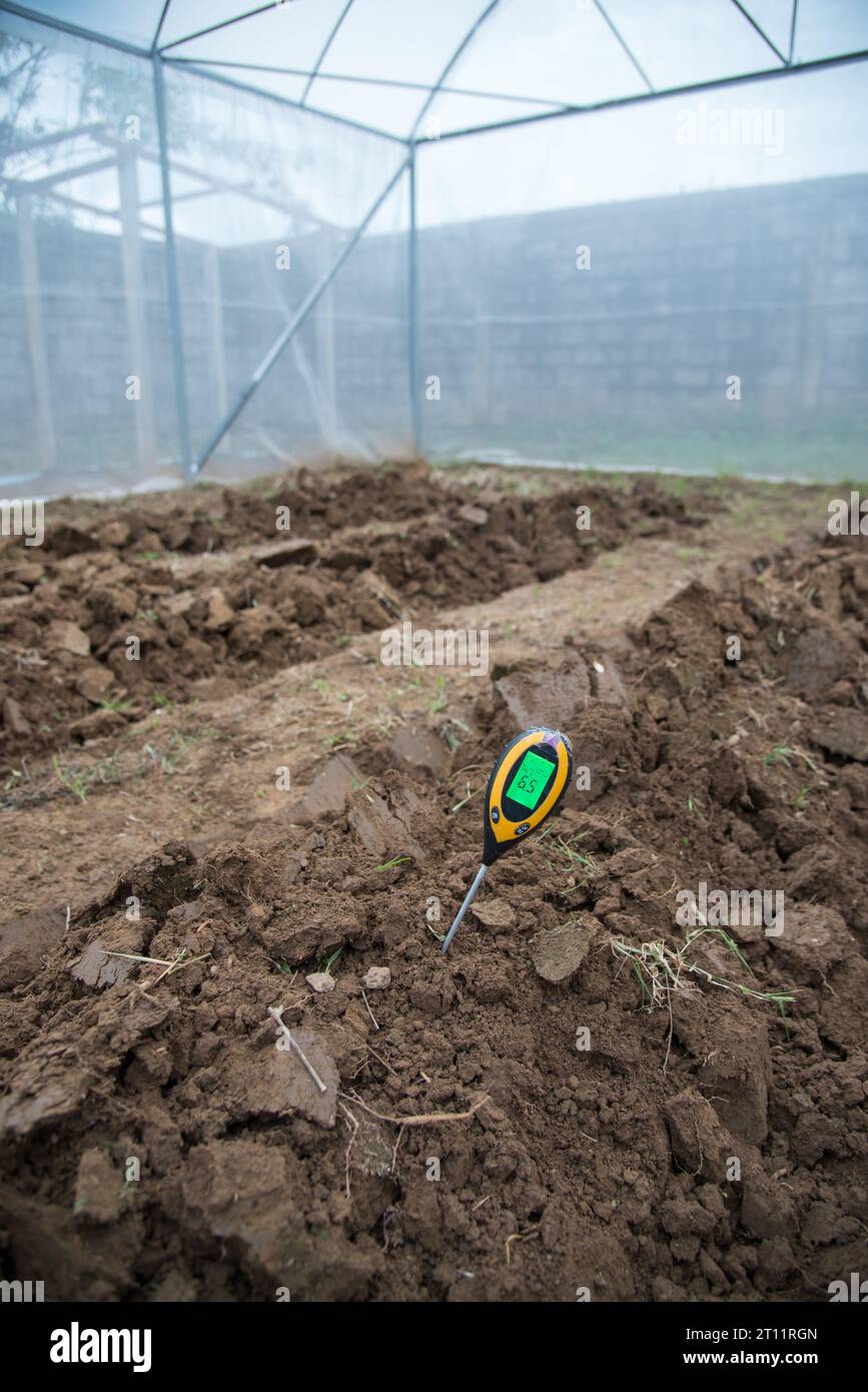 PH-mètre de sol Utilisation pour vérifier la valeur du PH Banque D'Images