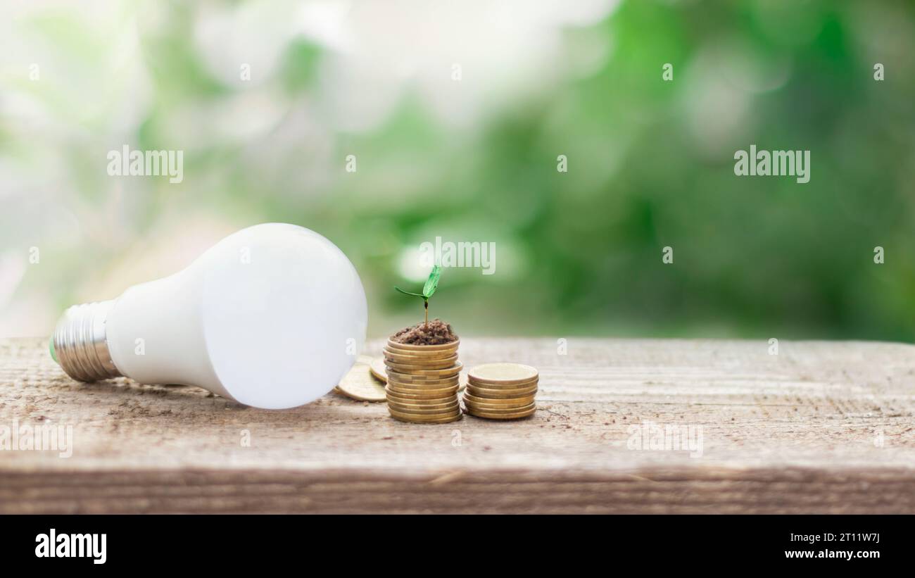 Ampoule LED sur piles de pièces de monnaie avec plante en croissance - concept d'économie d'énergie, d'affaires électriques et écologiques, de consommation économique, sauver la planète. Banque D'Images