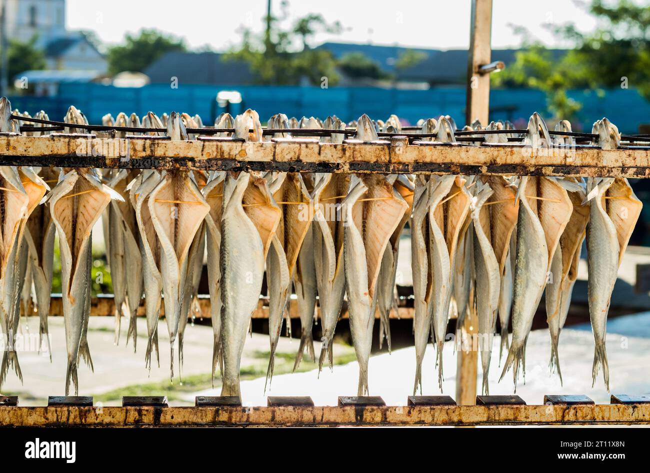 Poisson séché, poisson sec Roumanie Banque D'Images