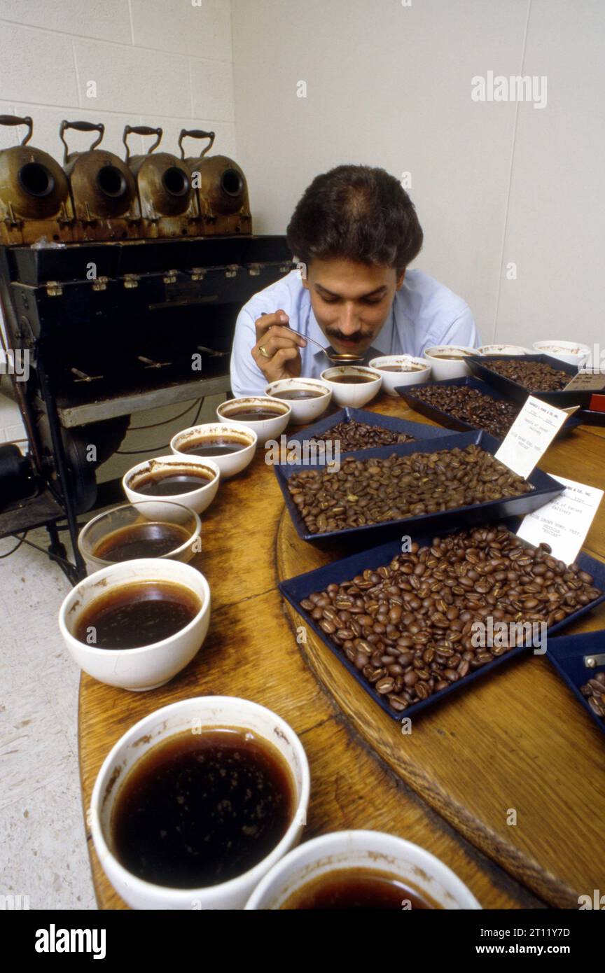 Dégustateur de café vérifiant divers mélanges de grains Banque D'Images