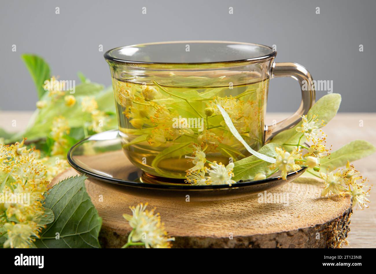 Tilia platyphyllos connue sous le nom de tisane de tilleul à grandes feuilles, fabriquée à partir de fleurs fraîchement cueillies avec des feuilles d'arbre et des branches avec des fleurs. Banque D'Images