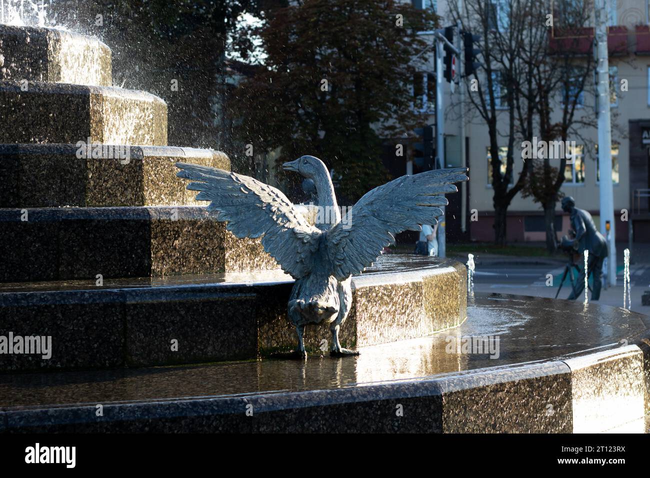 Statue d'oiseau dans la fontaine en gros plan Banque D'Images