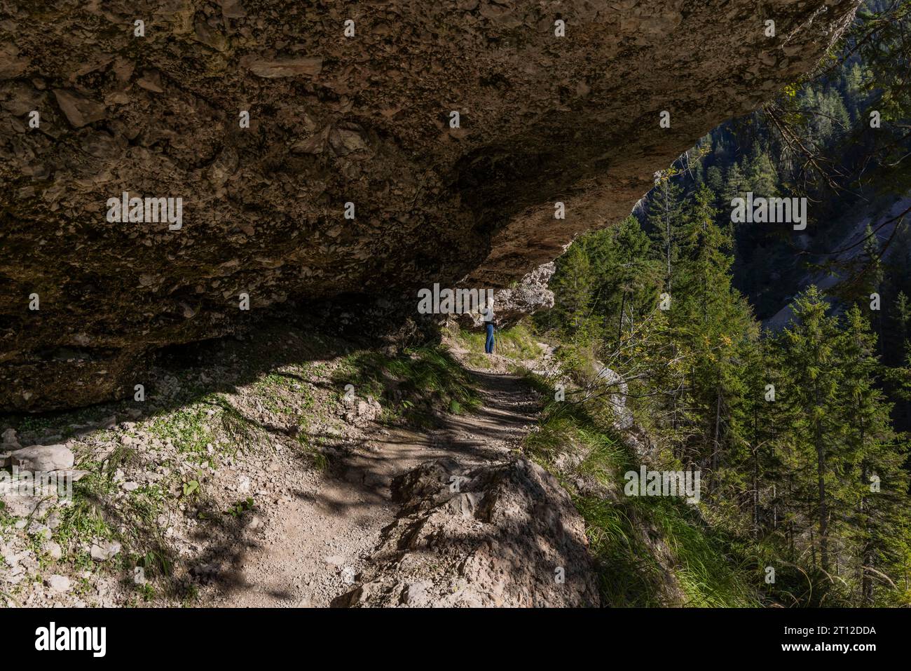 Sentier de randonnée alpine sous roche jusqu'à la grotte, voûte, à Maria Alm, Salzbourg Banque D'Images