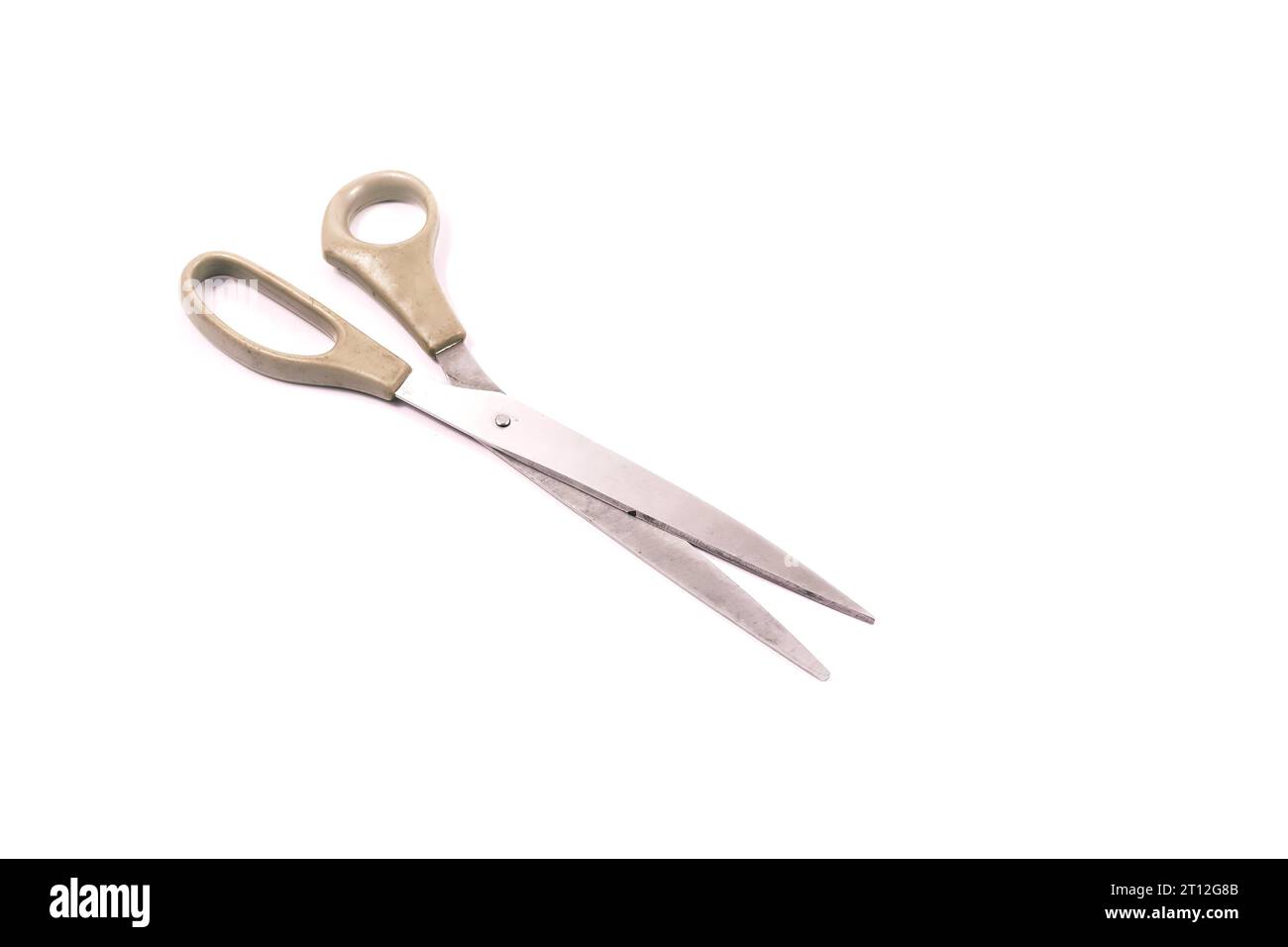 Détaillez les ciseaux à main sur un fond blanc, copiez et collez l'espace Banque D'Images