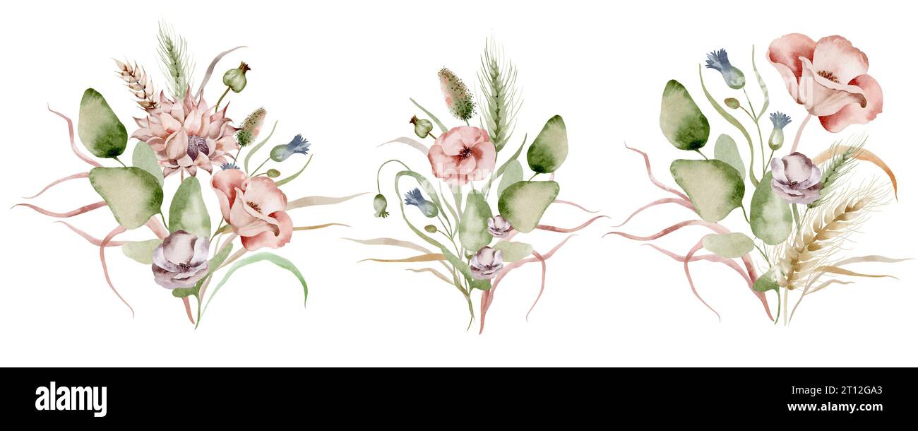 Bouquet d'aquarelle de fleurs sauvages. Ensemble d'illustration de bouquet floral de fleurs séchées sur un fond blanc dessiné à la main. Banque D'Images