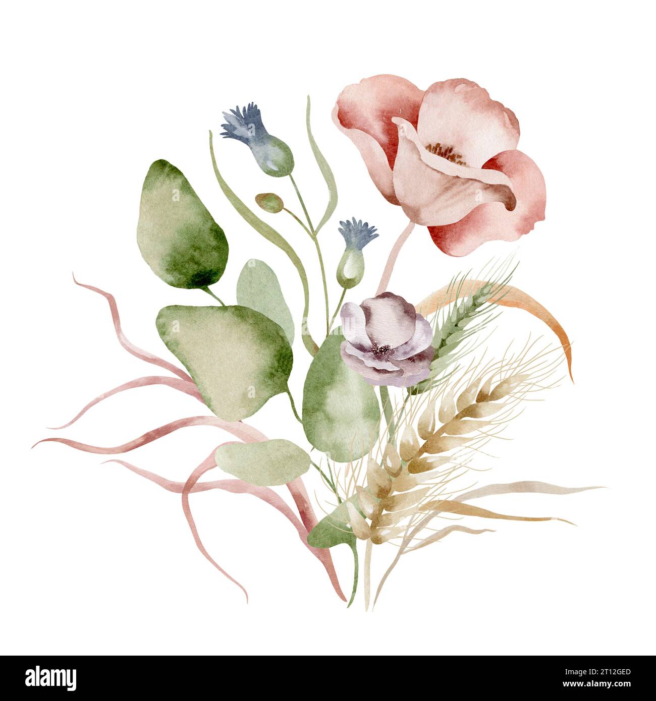 Bouquet d'aquarelle de fleurs sauvages. Ensemble d'illustration de bouquet floral de fleurs séchées sur un fond blanc dessiné à la main. Banque D'Images