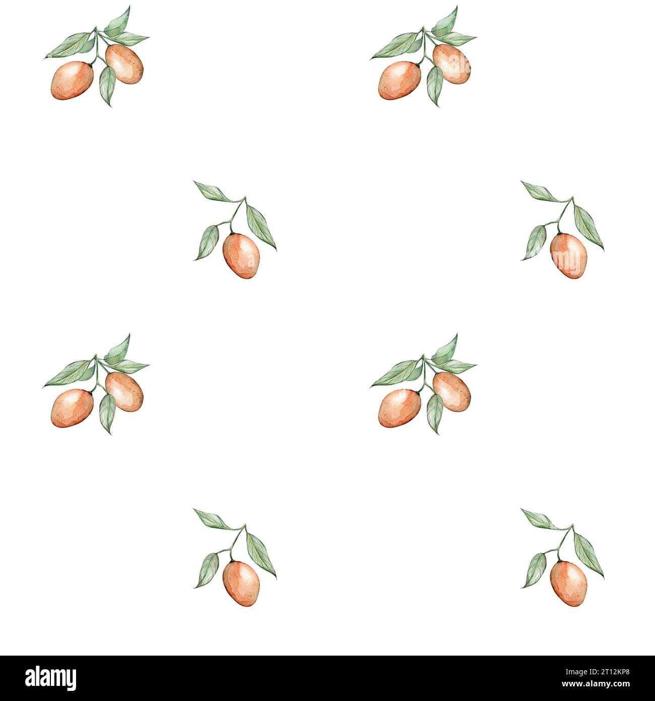 Modèle sans couture avec kumquats aquarelle Banque D'Images