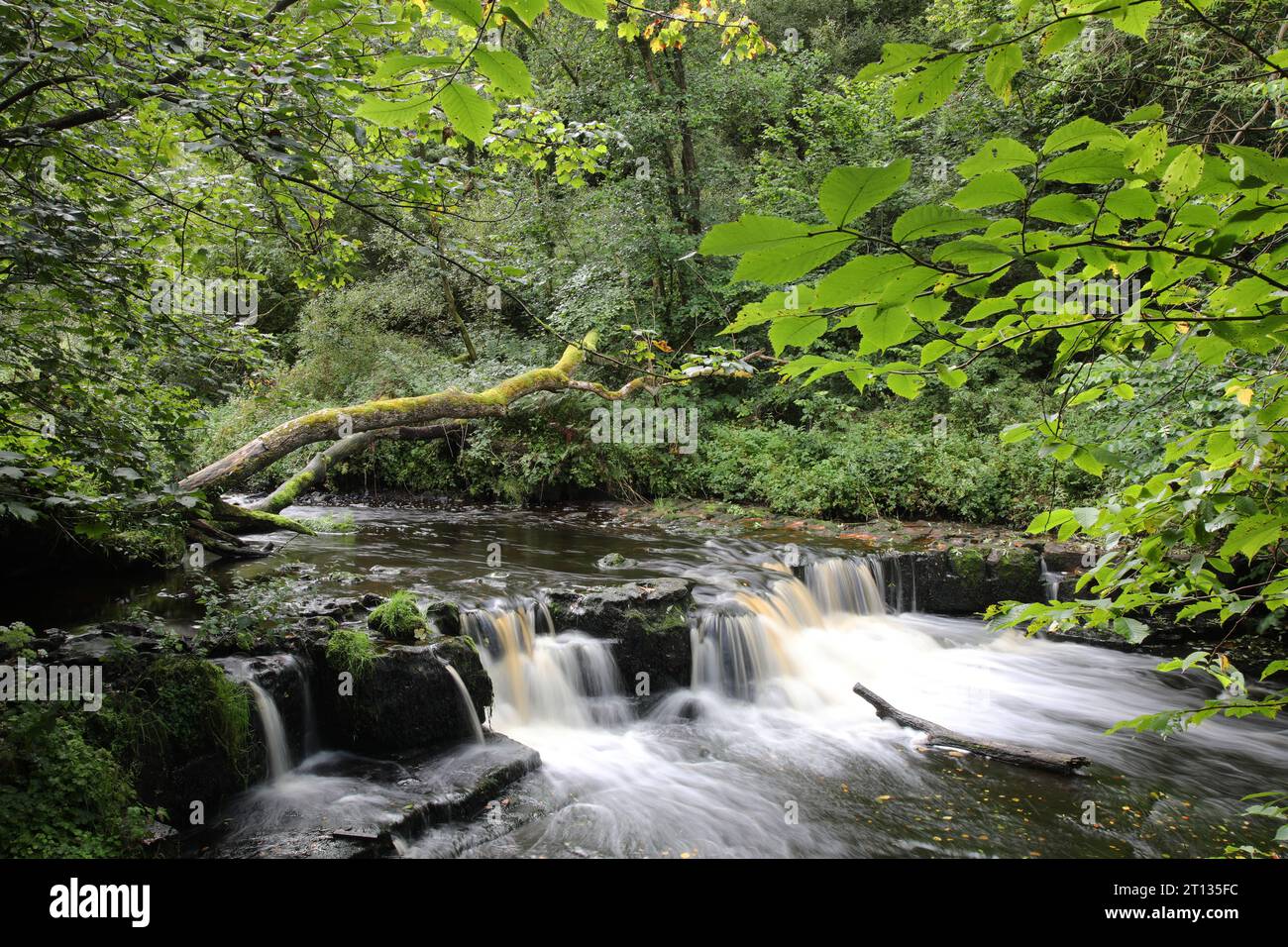 Lynn Falls, Dalry Banque D'Images