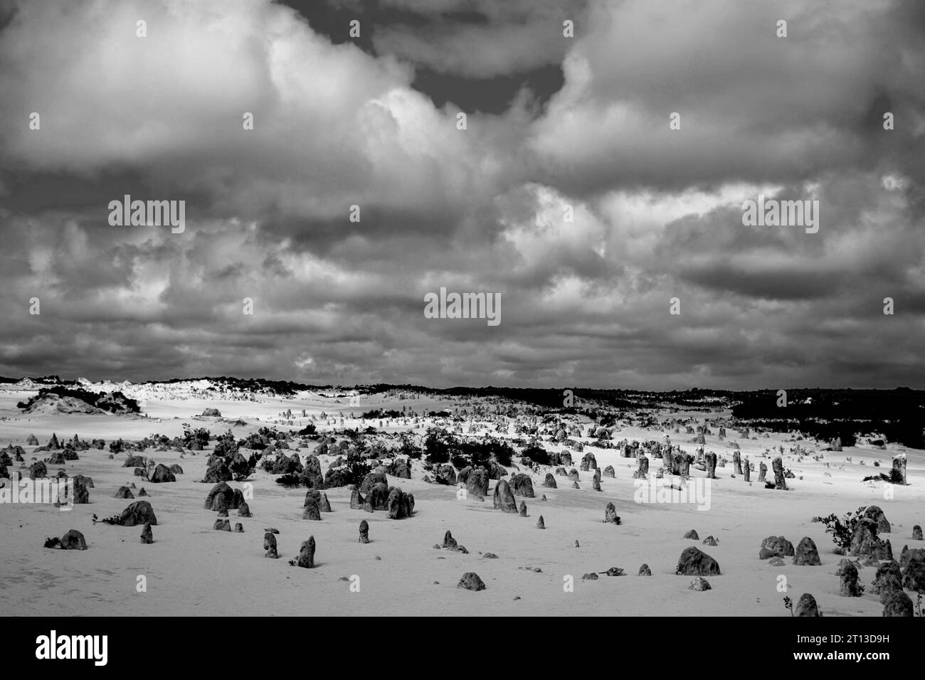 Une vue de la découverte du désert Pinnacles situé dans le parc national de Nambung et à 200 km au nord de Perth, Australie occidentale Banque D'Images