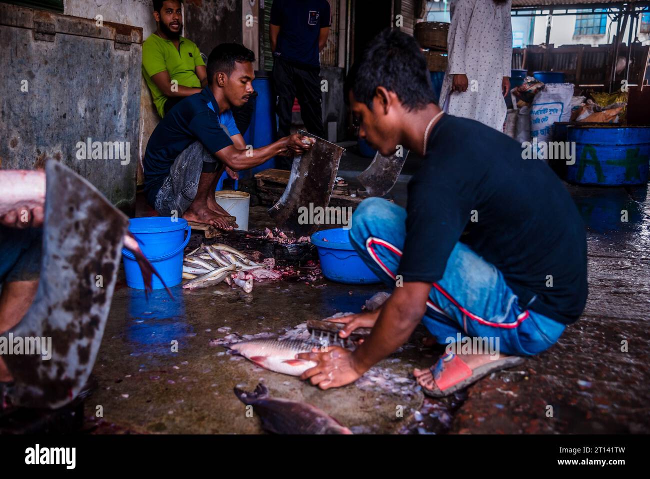 Des enfants pauvres coupent du poisson dans un marché aux poissons local à Barishal, au Bangladesh. Banque D'Images