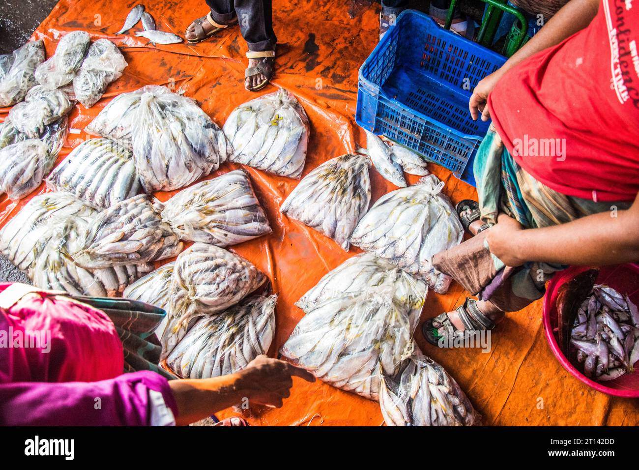 Les gens se sont rassemblés sur un marché aux poissons local pour acheter du poisson dans la ville de Barishal, au Bangladesh Banque D'Images