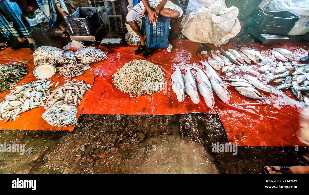 Les poissons sont exposés sur un marché aux poissons local à Barishal, au Bangladesh. Banque D'Images