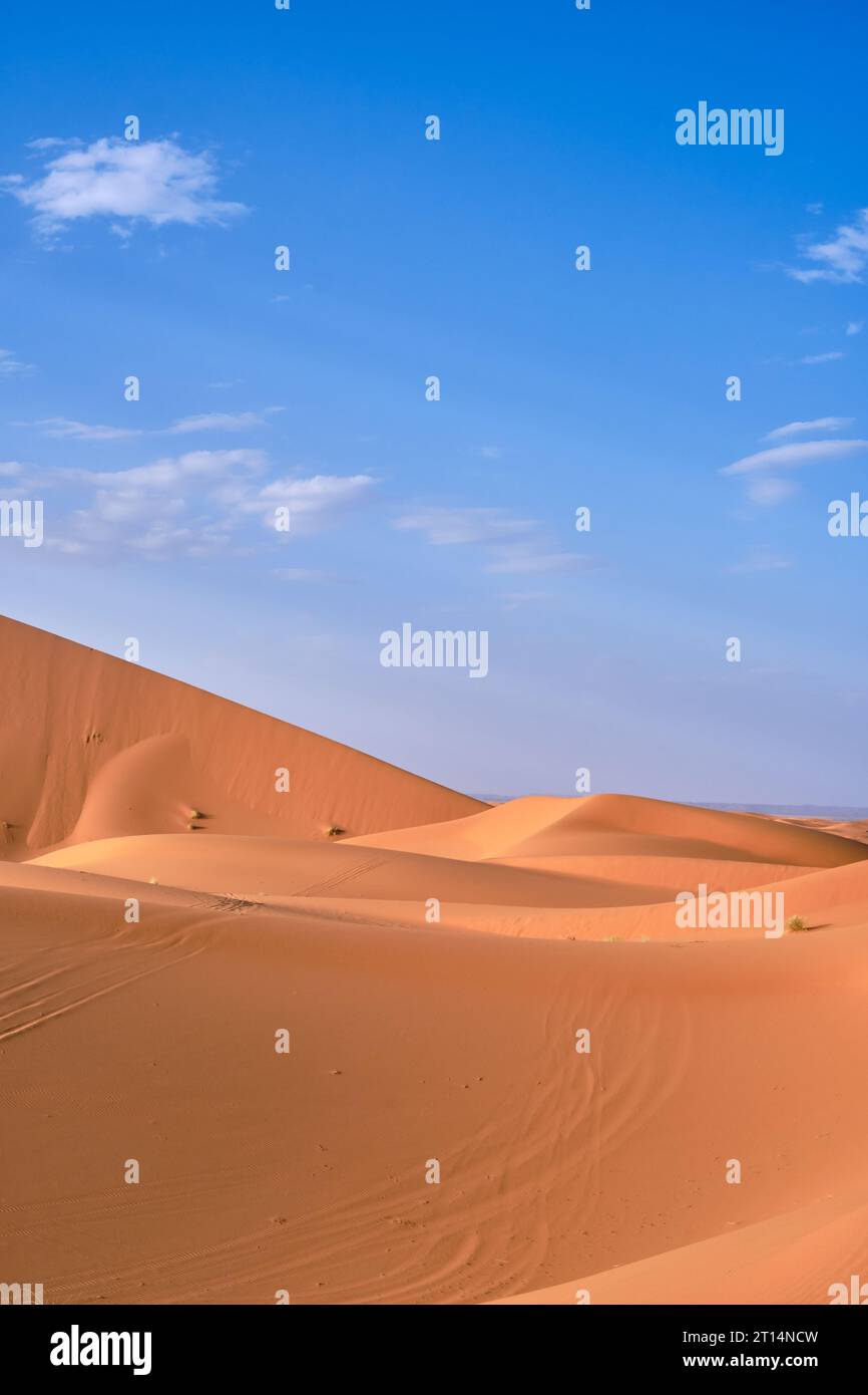 Dunes de sable à Merzouga, dans le désert du Sahara, Maroc, par un ciel bleu clair. Banque D'Images