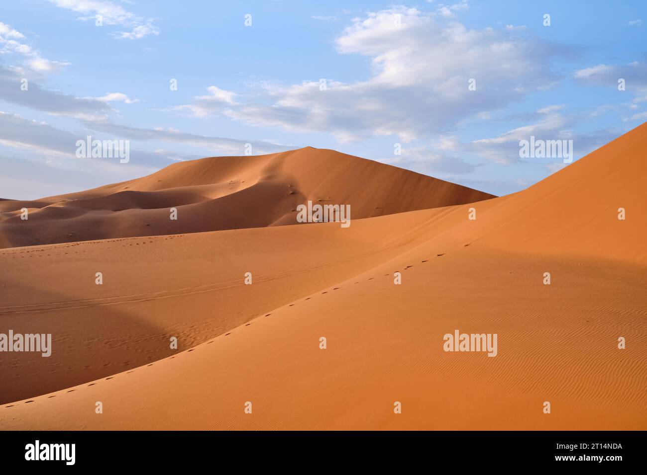 Dunes de sable à Merzouga, dans le désert du Sahara, Maroc, par un ciel bleu clair. Banque D'Images