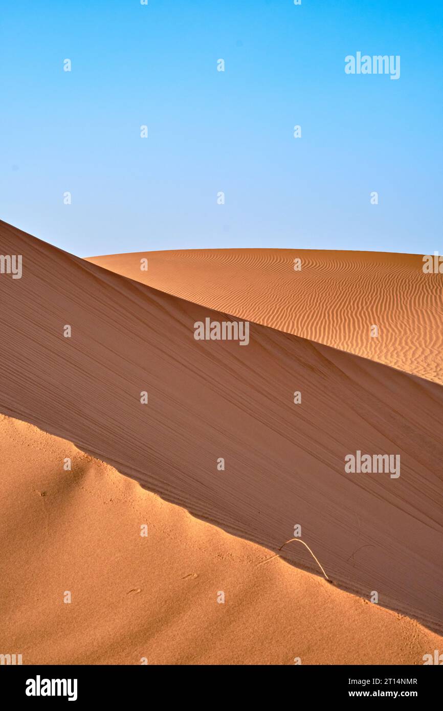 Dunes de sable dans le désert du Sahara, Maroc, par un ciel bleu clair. Banque D'Images