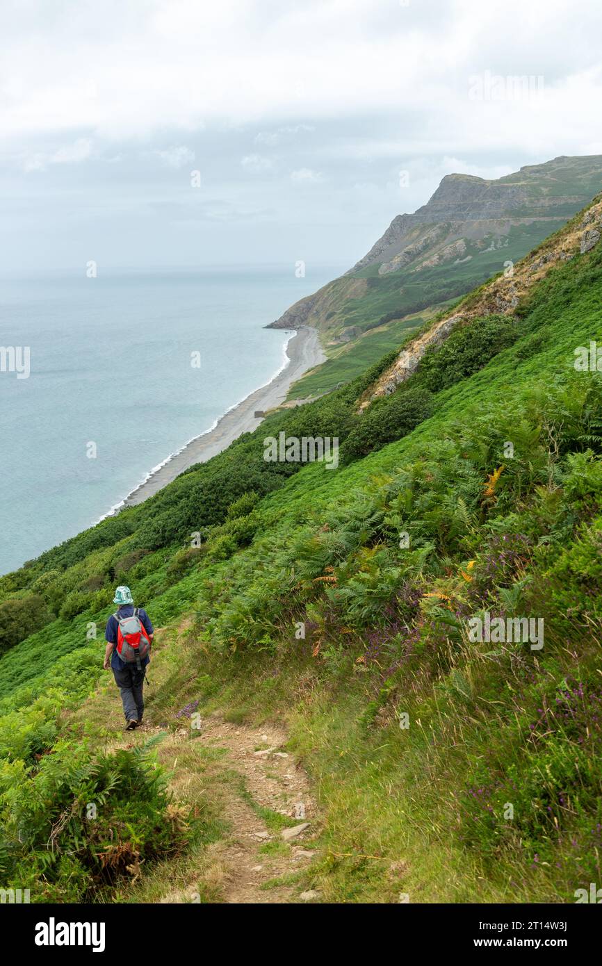 Marcher le chemin de la côte du pays de Galles en direction de Nant Gwrtheyrn le centre de langue galloise, Llyn Peninsula, Gwynedd Banque D'Images