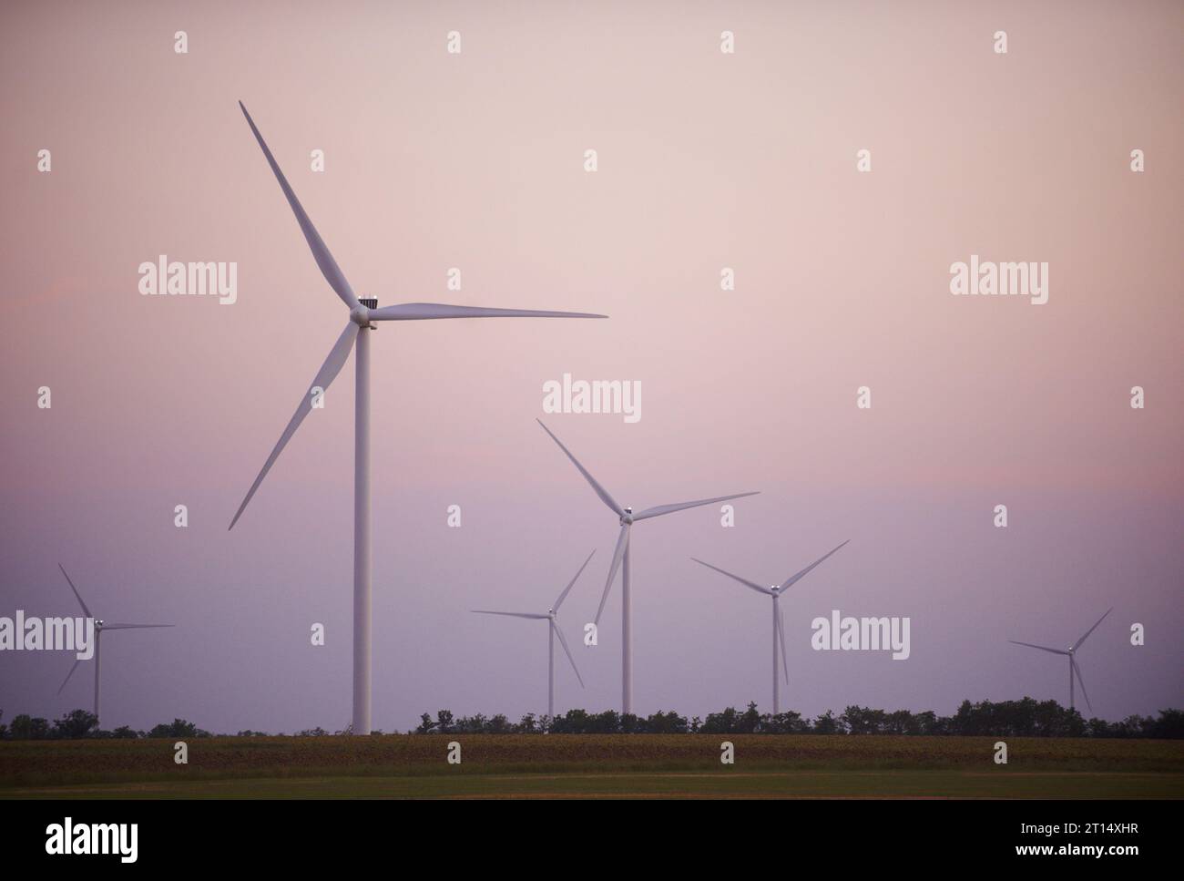 Production d'énergie éolienne, éoliennes sur les terres agricoles la nuit. Banque D'Images