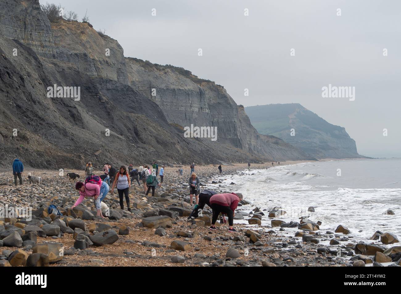 Charmouth, Dorset, Royaume-Uni. 11 octobre 2023. Les températures restent plus élevées que d'habitude pour octobre à Charmouth, Dorset. Les gens cherchaient des fossiles sur la plage ce matin et promenaient leurs chiens. Le met Office a émis un avertissement jaune de pluie pour le sud-ouest de l'Angleterre de 21,00 ce soir jusqu'à demain soir. Crédit : Maureen McLean/Alamy Live News Banque D'Images