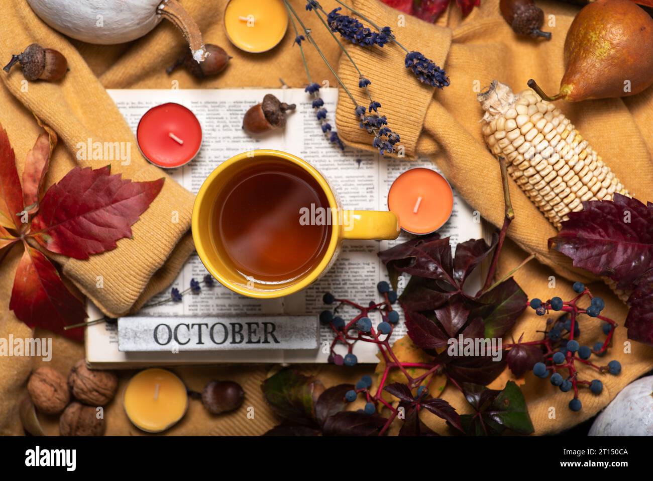 Thème d'automne avec des fruits et des couleurs d'automne. Un pull jaune avec une tasse de thé dessus, un livre, des feuilles d'automne, de petites bougies parfumées et divers fruits. Banque D'Images