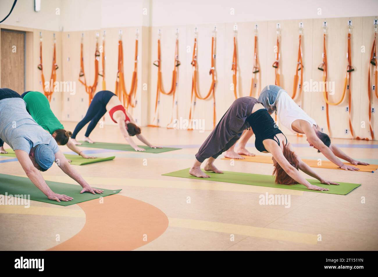 Groupe de personnes faisant du yoga vers le bas pose de chien - Adho Mukha Svanasana sur des tapis au studio Banque D'Images