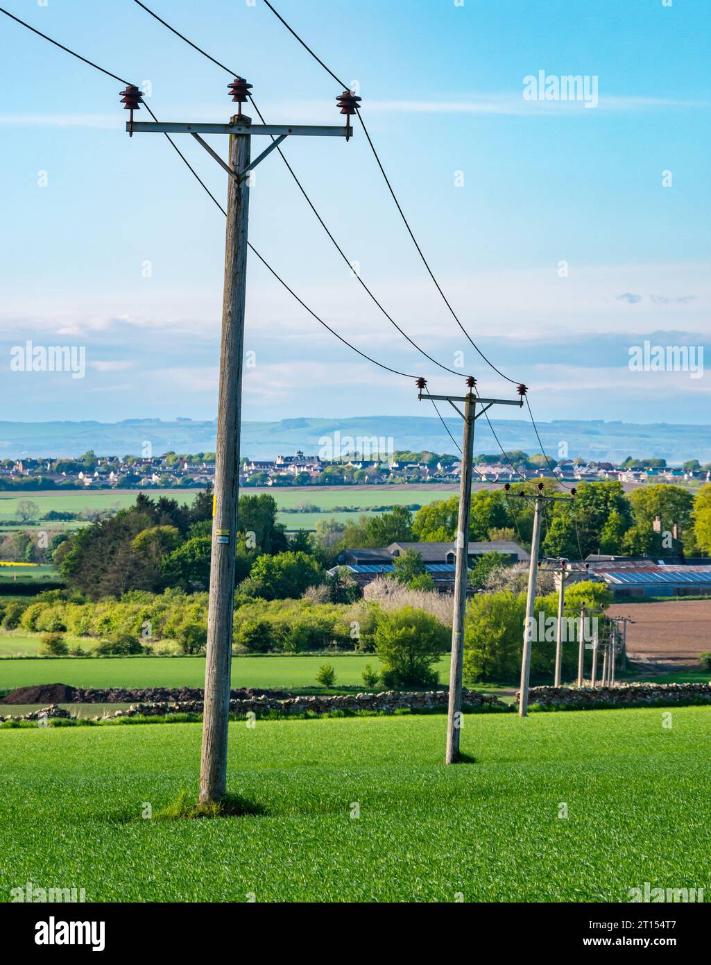 Poteaux de téléphone ou de ligne électrique à travers un champ de culture de printemps au soleil, East Lothian, Écosse, Royaume-Uni Banque D'Images