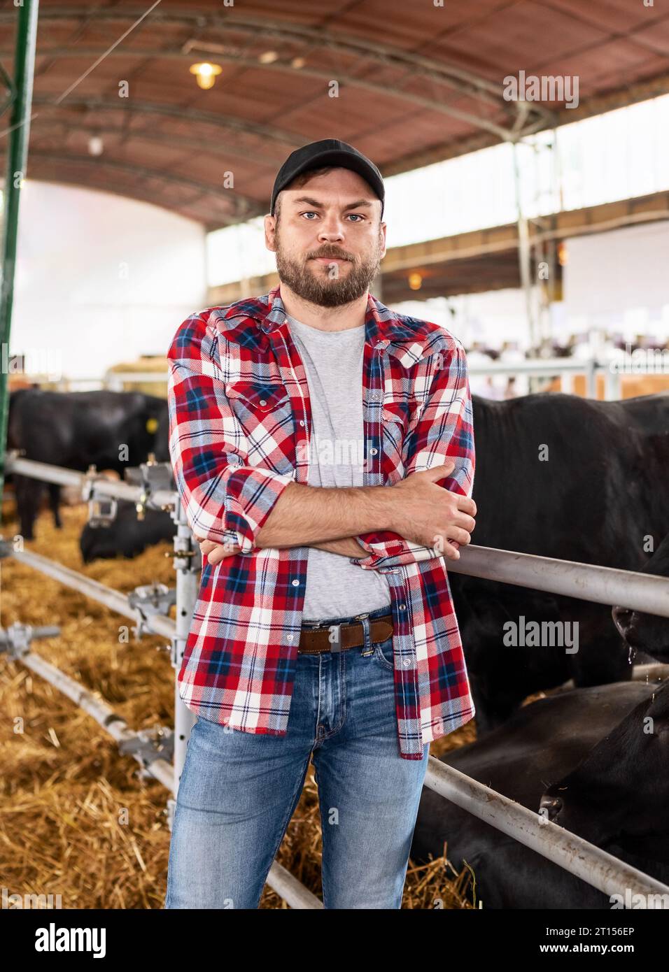 Portrait d'un éleveur américain à la ferme bovine. Banque D'Images