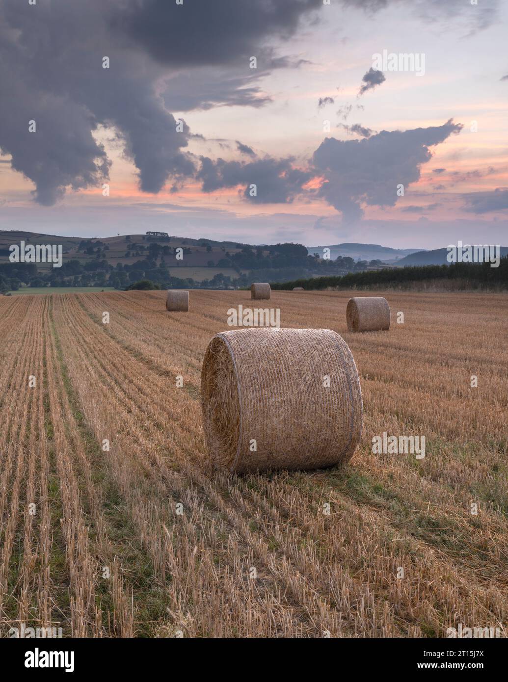 Belle couleur et lumière dramatique au coucher du soleil dans la vallée de Clun, South Shropshire, Angleterre, Royaume-Uni Banque D'Images