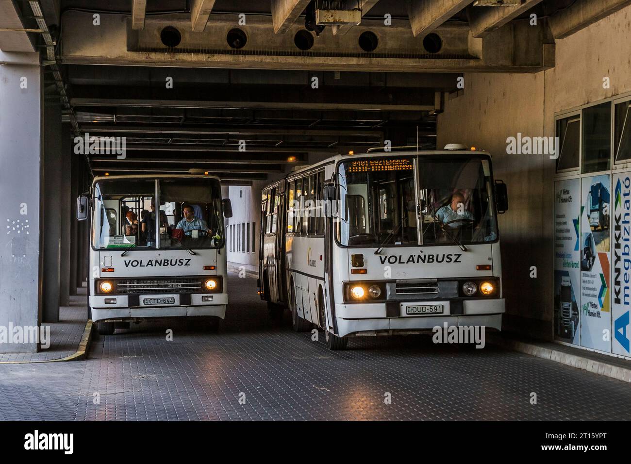 13.08.2021. Hongrie, Tatabanya, gare routière. Ce qui est le meilleur à Tatabaya, deux Ikarus 280. Banque D'Images