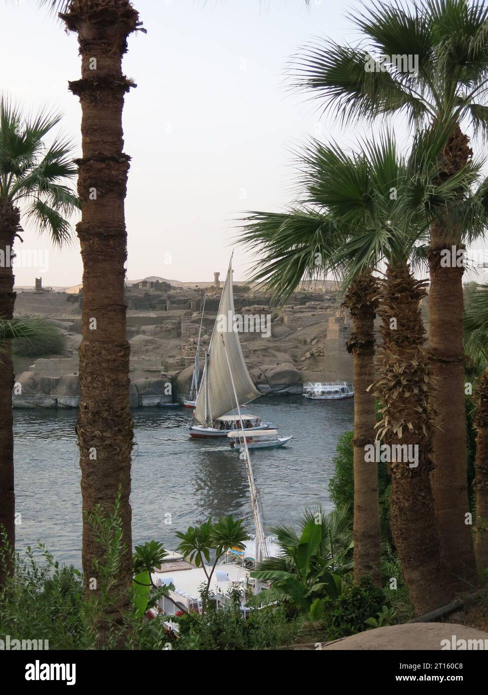 Vue classique sur le Nil à Assouan avec palmiers, felouques et voiliers à regarder depuis la terrasse du légendaire Old Cataract Hotel. Banque D'Images
