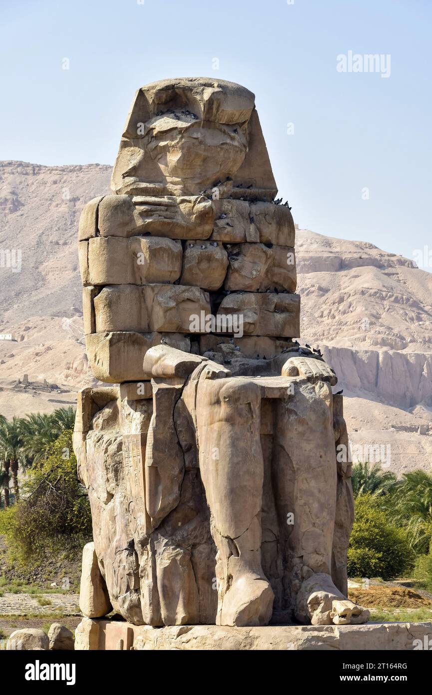 Le colosse de Memnon, l'une des deux statues massives en pierre du Pharaon Amenhotep III devant son temple mortuaire, en cours de restauration, Thèbes, Banque D'Images