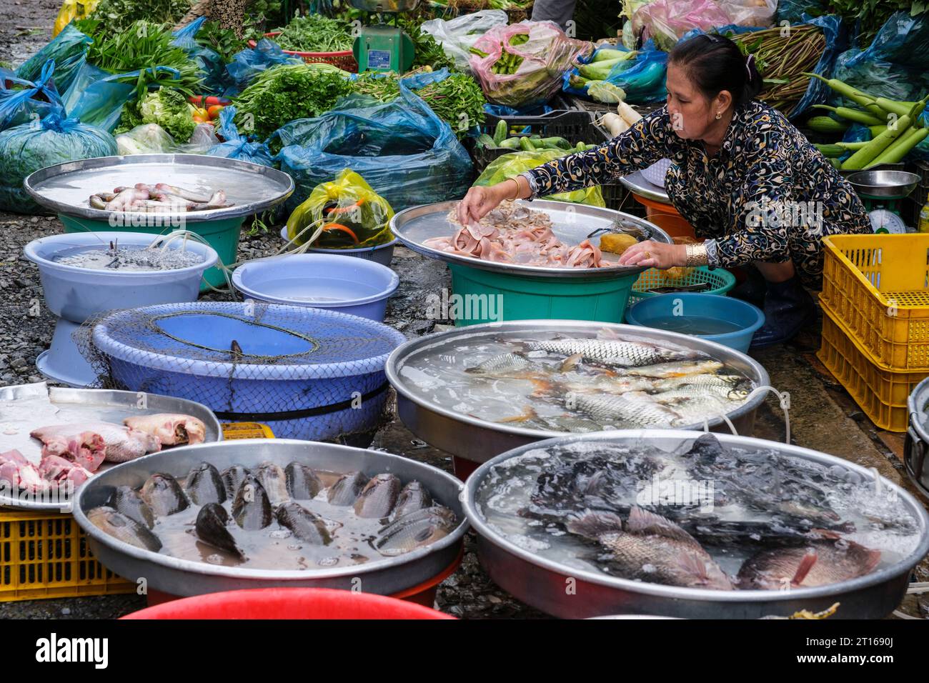 CAN Tho, Vietnam. Marché matinal. Poissons maintenus en vie dans de l'eau aérée. Banque D'Images