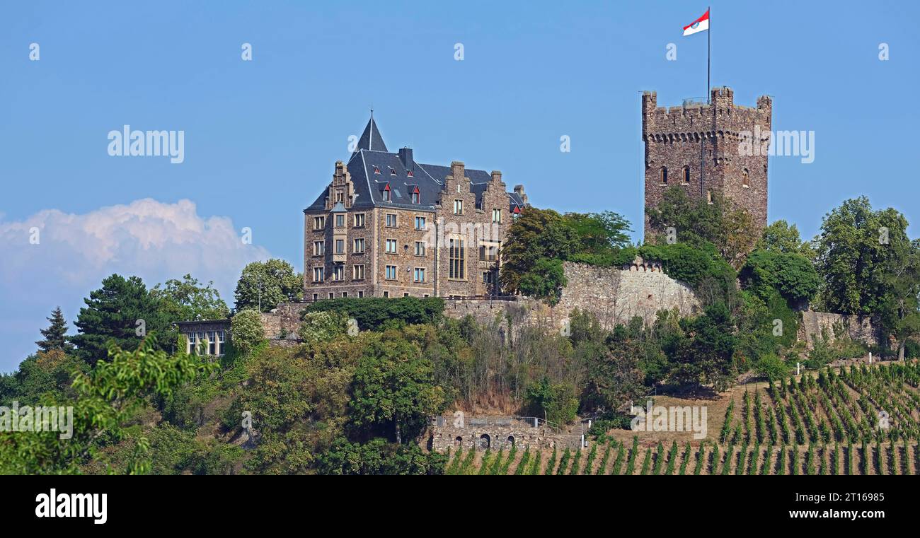Château de Klopp, Bingen am Rhein, Rhénanie-Palatinat, Allemagne Banque D'Images