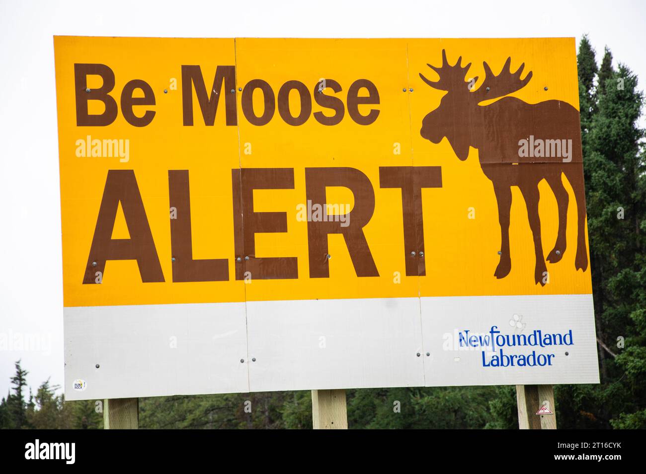 Panneau Be Moose Alert à Deer Lake, Terre-Neuve-et-Labrador, Canada Banque D'Images