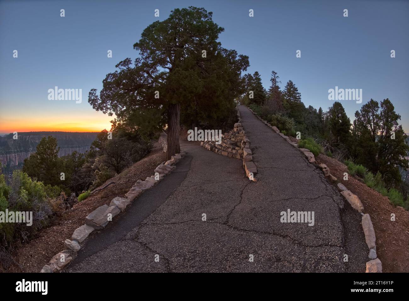 La jonction où le transept Trail rencontre le Bright Angel point Trail sur la rive nord du Grand Canyon Arizona au coucher du soleil. Banque D'Images